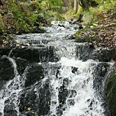 Naturferienhaus Luppbodemuehle Appartement