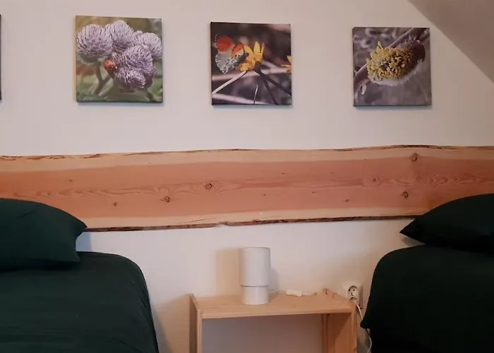 Lägenhet Naturferienhaus Luppbodemuehle *