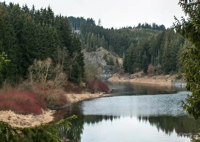 Naturferienhaus Luppbodemuehle * Allrode