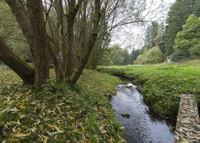 Naturferienhaus Luppbodemuehle * Allrode