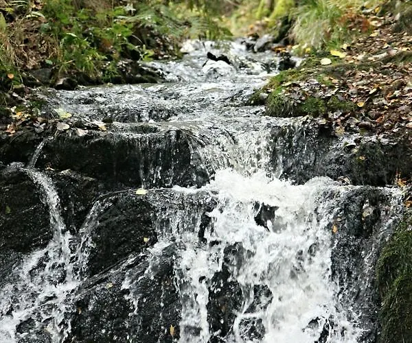 Naturferienhaus Luppbodemuehle Lägenhet